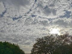 -上海佘山国家森林公园天马山园