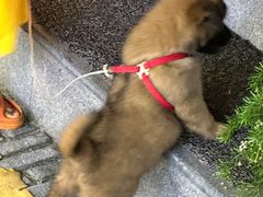 -大鹏佳兆业广场