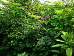 android_upload_pic-晶宝温泉农庄