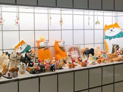 -柴务处·柴犬主题狗咖