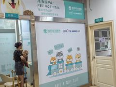 -瑞派宠物医院·内科·软组织·绝育中心(沈阳八纬路分院)