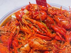 -杨氏青龙虾·羊蝎子(金盛路总店)