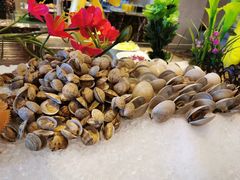 -嘉兴华美达酒店(秦逸路店)