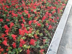 -无锡市市民中心