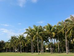 android_upload_pic-三亚亚龙湾红树林度假酒店