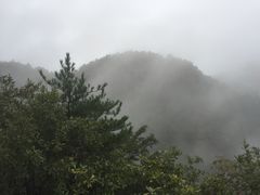 -四明山国家森林公园