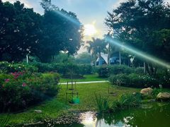 -人民公园(罗湖区)