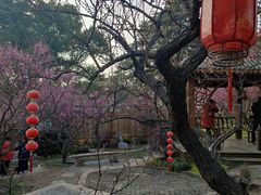 -无锡梅园公园