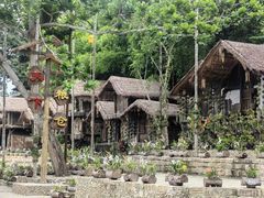 -海南槟榔谷黎苗文化旅游区