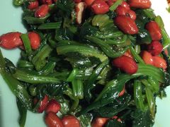 果仁菠菜-金谷园饺子·烧烤·家宴(人大总店)