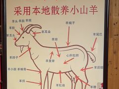 -老村长大锅炖羊肉(榆林大道店)