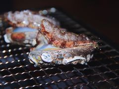 -跳舞牛·串烧酒场(麦地店)