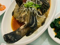 -双井轩(双井店)