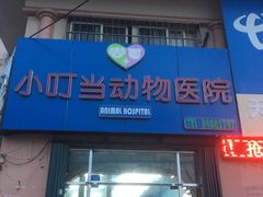 -小叮当动物医院·骨科·眼科