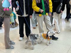 -仲盛世界商城
