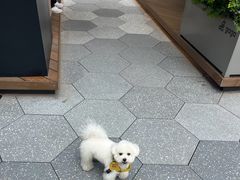 -阿嬷手作(成都万象城店)