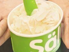 -Salud撒露欧洲冻酸奶(蓝色港湾店)