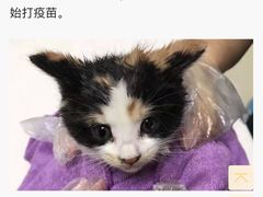 -美美宠物诊疗中心·异宠·骨科(滨江东信分院)