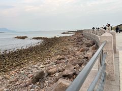 -小麦岛公园