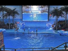 -海合安成都极地海洋公园