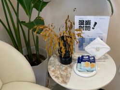 -Fundi张玉珊修身堂·indiba·BTL科技瘦身