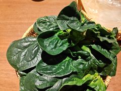 -巴奴毛肚火锅(安阳万达店)