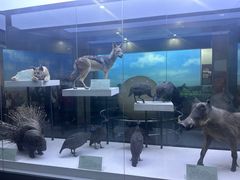 -国家自然博物馆