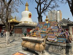-护国法轮寺