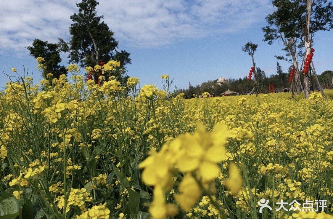 0️⃣元打卡厦门新晋网红拍照地❗