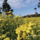 0️⃣元打卡厦门新晋网红拍照地❗