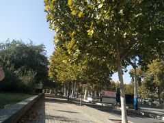 -安阳名吃杜记扁粉菜