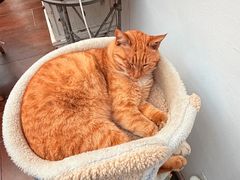 -Vanillacafe香草咖啡(银海大世界店)