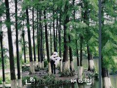 -重庆彩云湖湿地公园