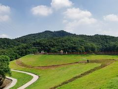 -广州市白云山风景名胜区