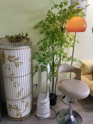 -变美丽半永久纹眉连锁·机器野生眉•洗眉