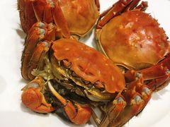 -王宝和酒家(黄浦店)