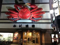 -蟹道乐(道顿堀本店)