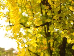 -食膳公园包子铺(烈士公园店)