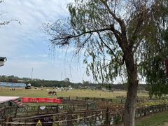 -武汉紫薇都市田园