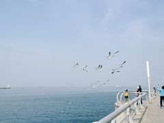 -东港音乐喷泉广场