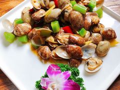 土灶花蛤-七裕庄(凯旋南路店)