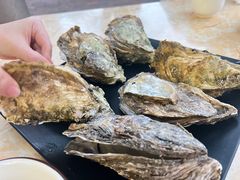 -大富蚝乌东哥饭店·石锅鱼杂·柠檬鸭(革新路店)