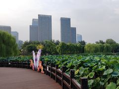 -西海子公园