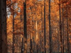 -白鹭湾湿地公园