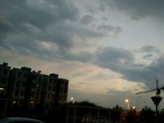 -极致味道动物奶油生日蛋糕(时尚店)