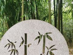-安吉竹博园