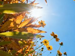 -西安市长乐公园