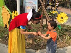 -合肥滨湖国家森林公园