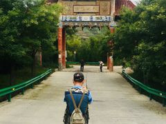-刘家峡水库