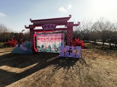 -香雪海